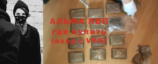 шишки Ачинск