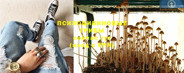 соль ск Лабытнанги