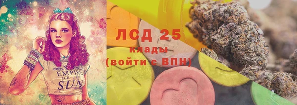 прущие грибы Новокубанск